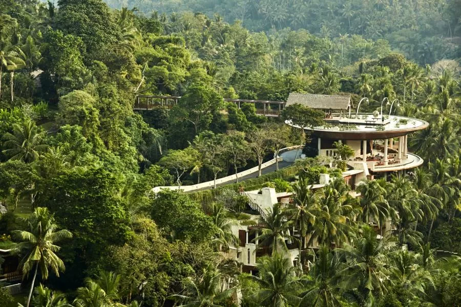 Bali exotic jungle to see on your travel destination