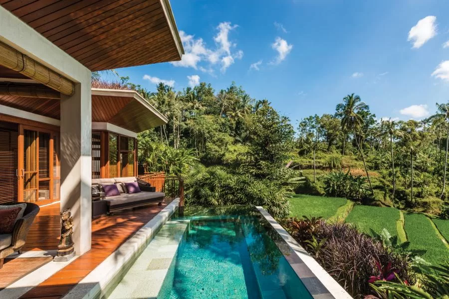 Villa in Bali with rice field's view