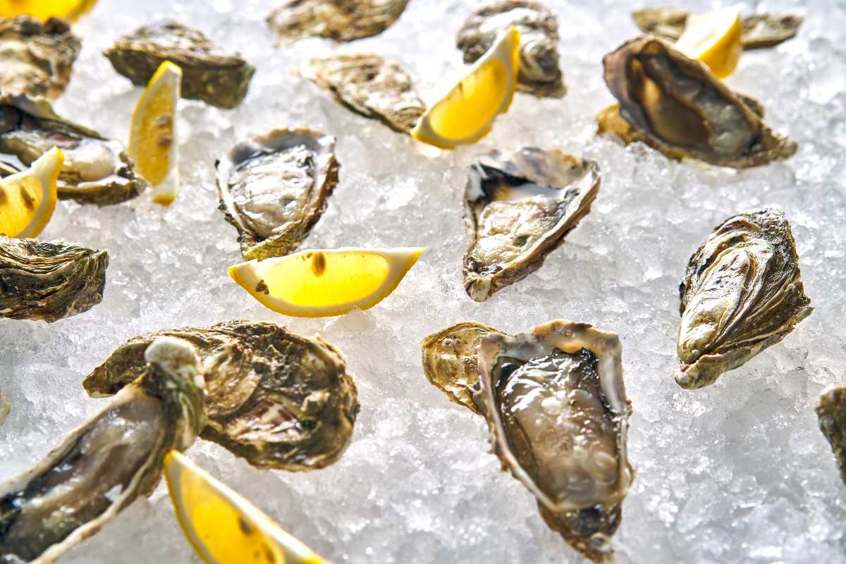 Oyster Bar